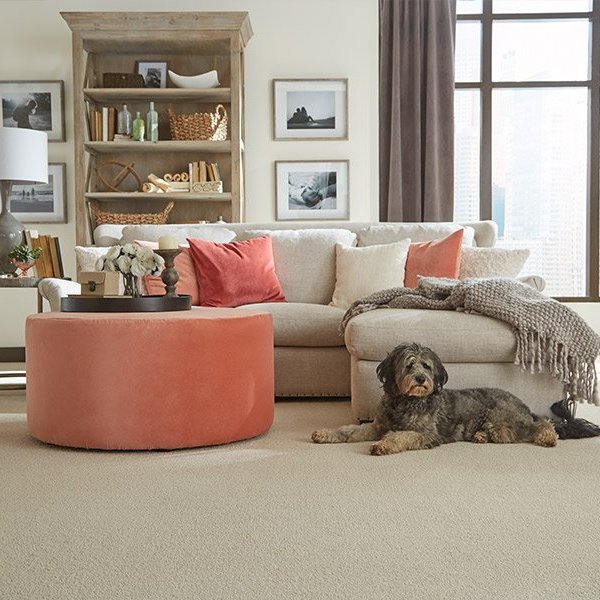 Autumn at home: trends in flooring and decoration